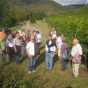 Ausflug in das Rhein-Mosel-Gebiet